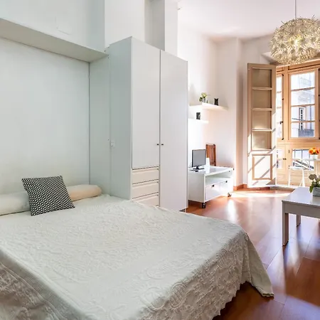 Estudio Centro Historico Apartment